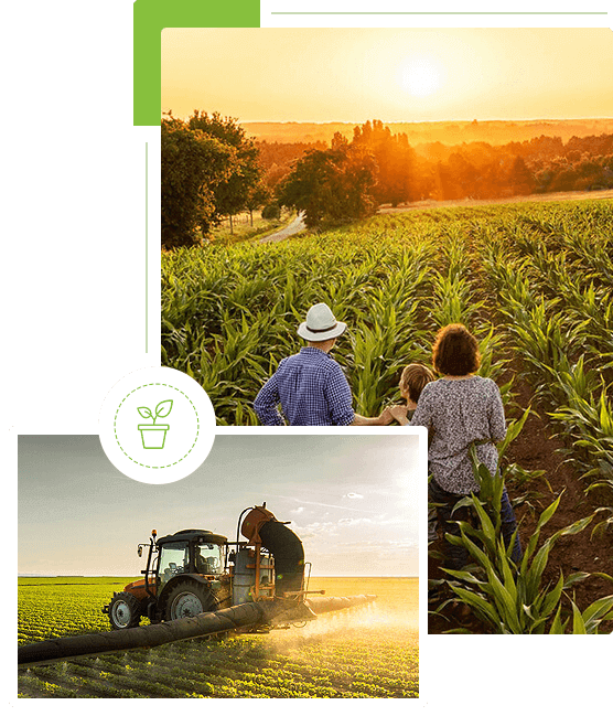 Nurturing Growth, Cultivating Excellence